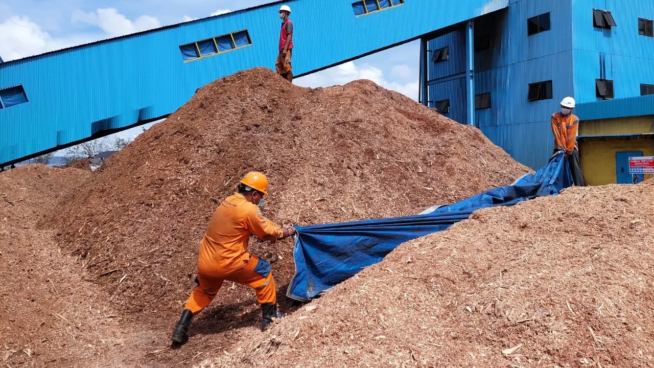 sampah jadi bahan bakar